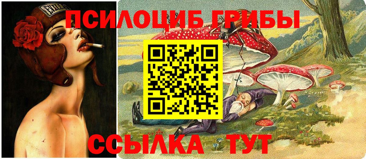 купить  сайты  Вход с VPN  Киров  Галлюциногенные грибы мухоморы  Галлюциногенные грибы Magic Shrooms 